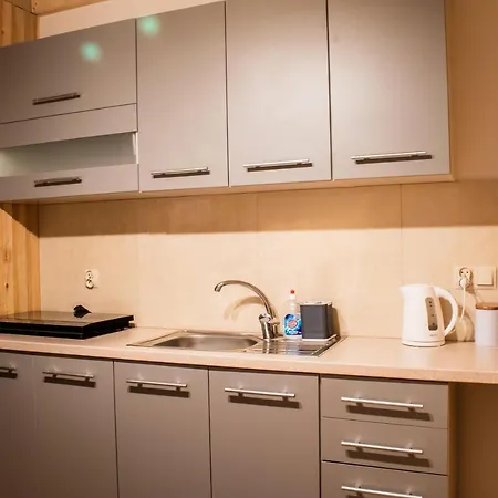 Apartament Dwupoziomowe U Ciotki Murzasichle
